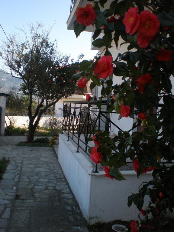 Karagiozos Studios & Apartments Skopelos Quarto foto